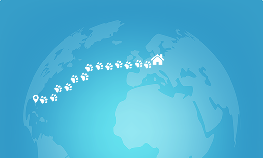 Paw prints trailing from the US to Berlin