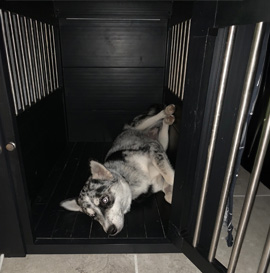 ecoFLEX Pet Crate