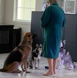 Pup-Peroni Treats