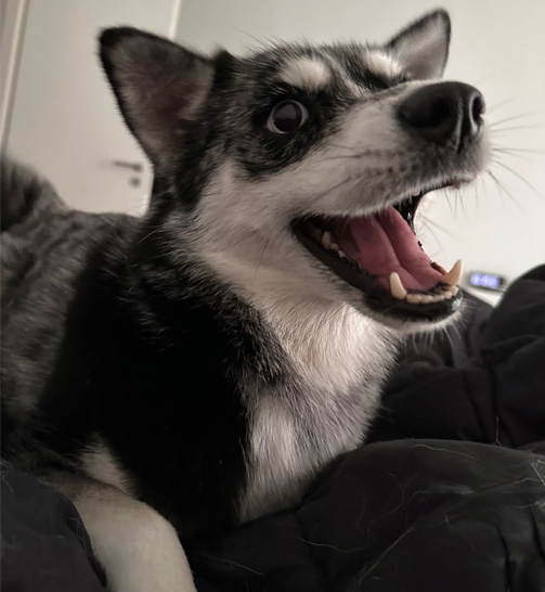 Wuta's Fluffy Finds