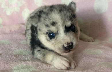 October 2020 — Wuta is born
