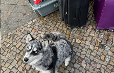 February 2023 — Move to Berlin